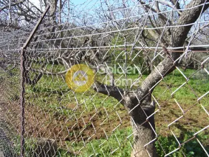 Residential 838m<sup>2</sup> for sale photo 4
