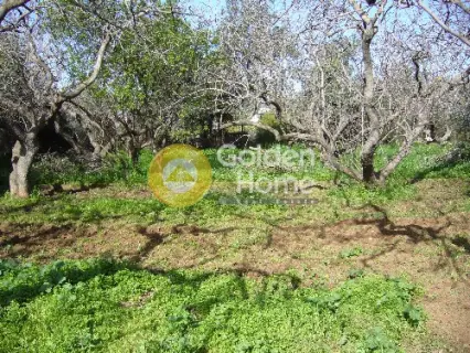 Residential 838m<sup>2</sup> for sale photo 5