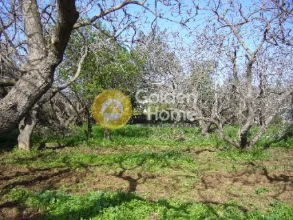 Residential 838m<sup>2</sup> for sale photo 8