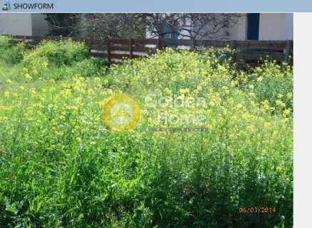 Οικιστικό 290τ.μ. προς πώληση φωτογραφία 2