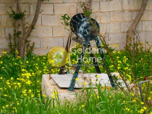 Golden Home Property Image