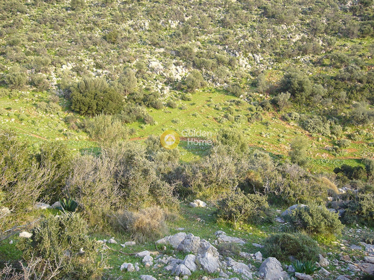 Golden Home Property Image