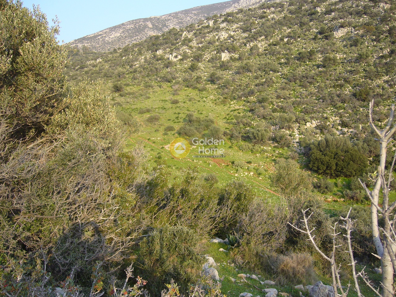 Golden Home Property Image