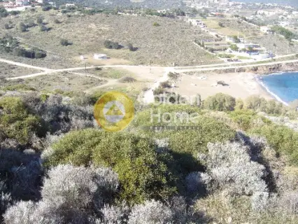 Residential 134901m<sup>2</sup> for sale photo 5