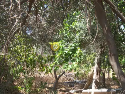 住宅 230m<sup>2</sup> for sale photo 2361218