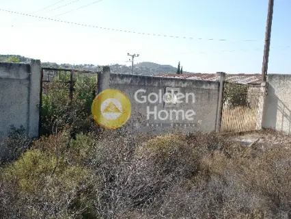 Residential 600m<sup>2</sup> for sale photo 5