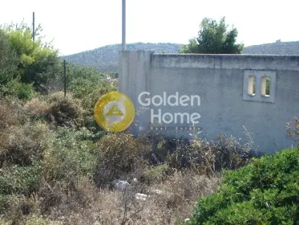 Residential 600m<sup>2</sup> for sale photo 7