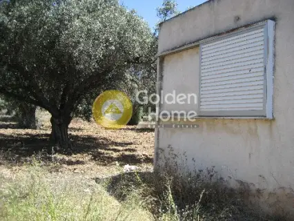 Parcel 552m<sup>2</sup> for sale photo 7