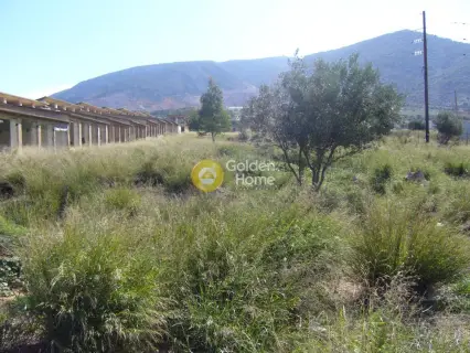 Επαγγελ. Οικόπεδο 82000τ.μ. προς πώληση φωτογραφία 8