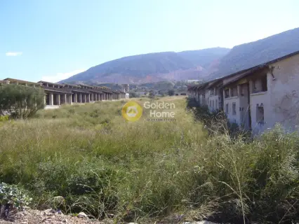 Επαγγελ. Οικόπεδο 82000τ.μ. προς πώληση φωτογραφία 10