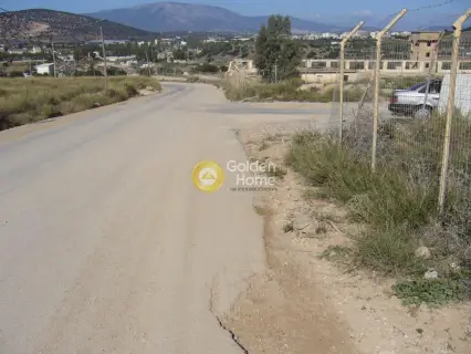 Επαγγελ. Οικόπεδο 82000τ.μ. προς πώληση φωτογραφία 2