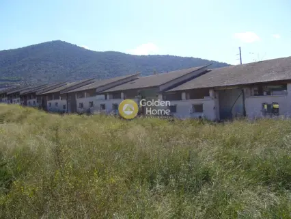 Επαγγελ. Οικόπεδο 82000τ.μ. προς πώληση φωτογραφία 5
