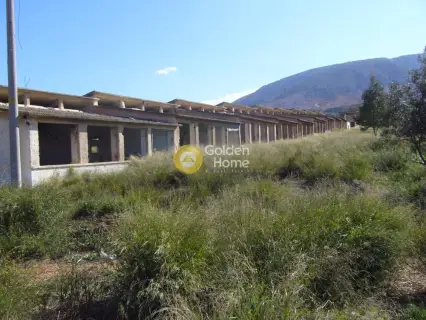 Επαγγελ. Οικόπεδο 82000τ.μ. προς πώληση φωτογραφία 3