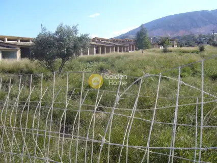 Επαγγελ. Οικόπεδο 82000τ.μ. προς πώληση φωτογραφία 12