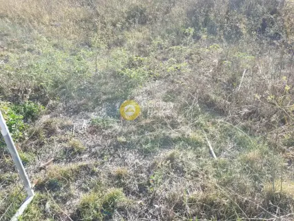 Residential 345m<sup>2</sup> for sale photo 3402431