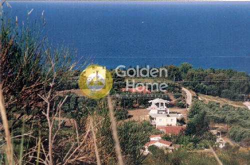 Golden Home Property Image