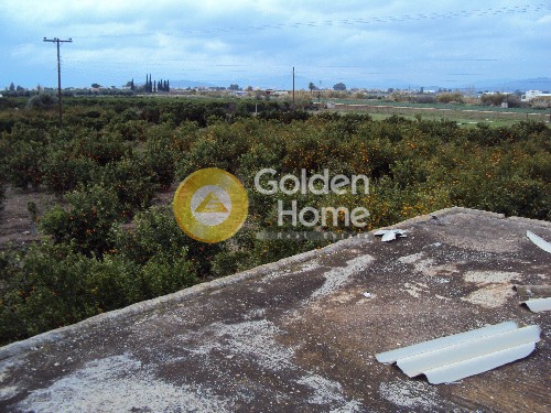 Golden Home Property Image