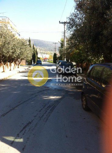 Residential 220m<sup>2</sup> for salephoto 5