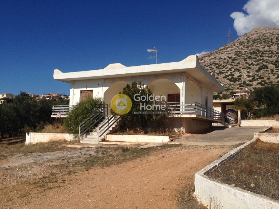 Golden Home Property Image