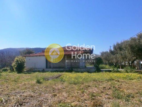 Golden Home Property Image