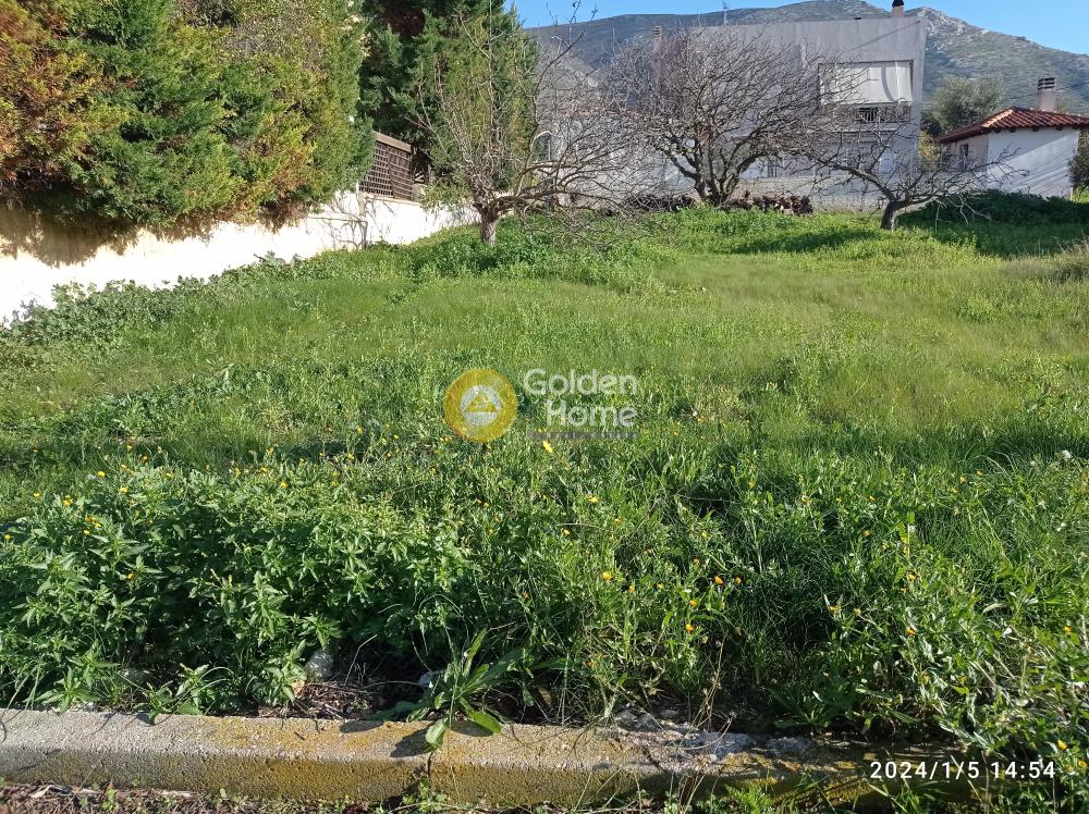 Golden Home Property Image