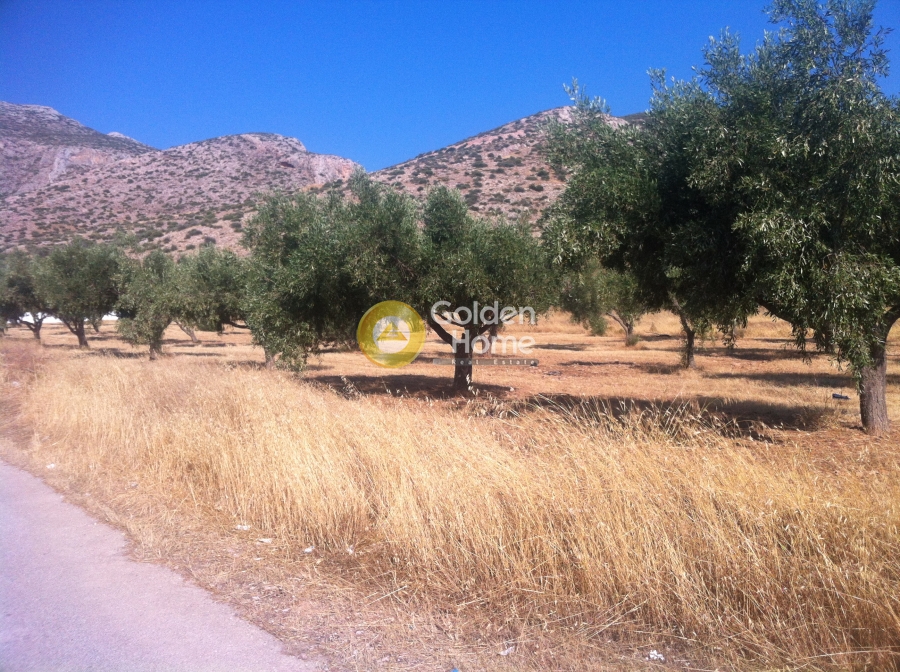 Golden Home Property Image