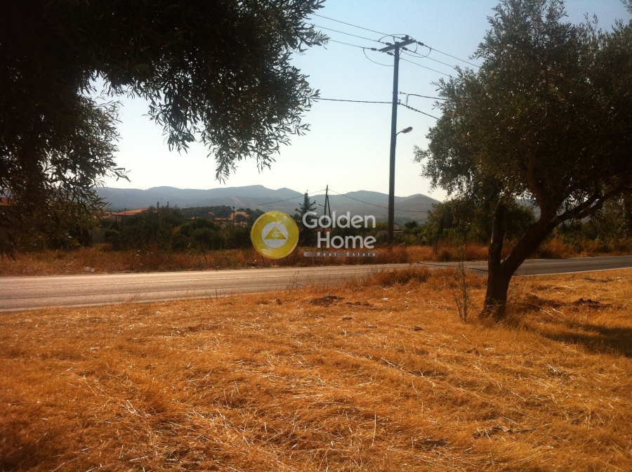 Golden Home Property Image