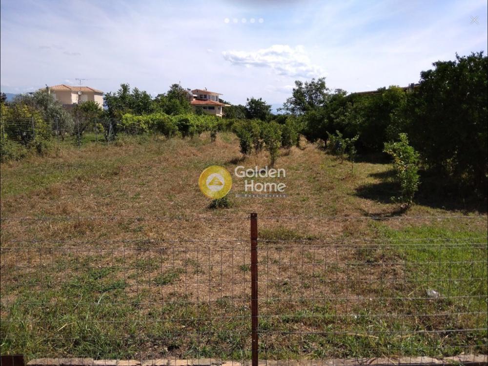 Golden Home Property Image