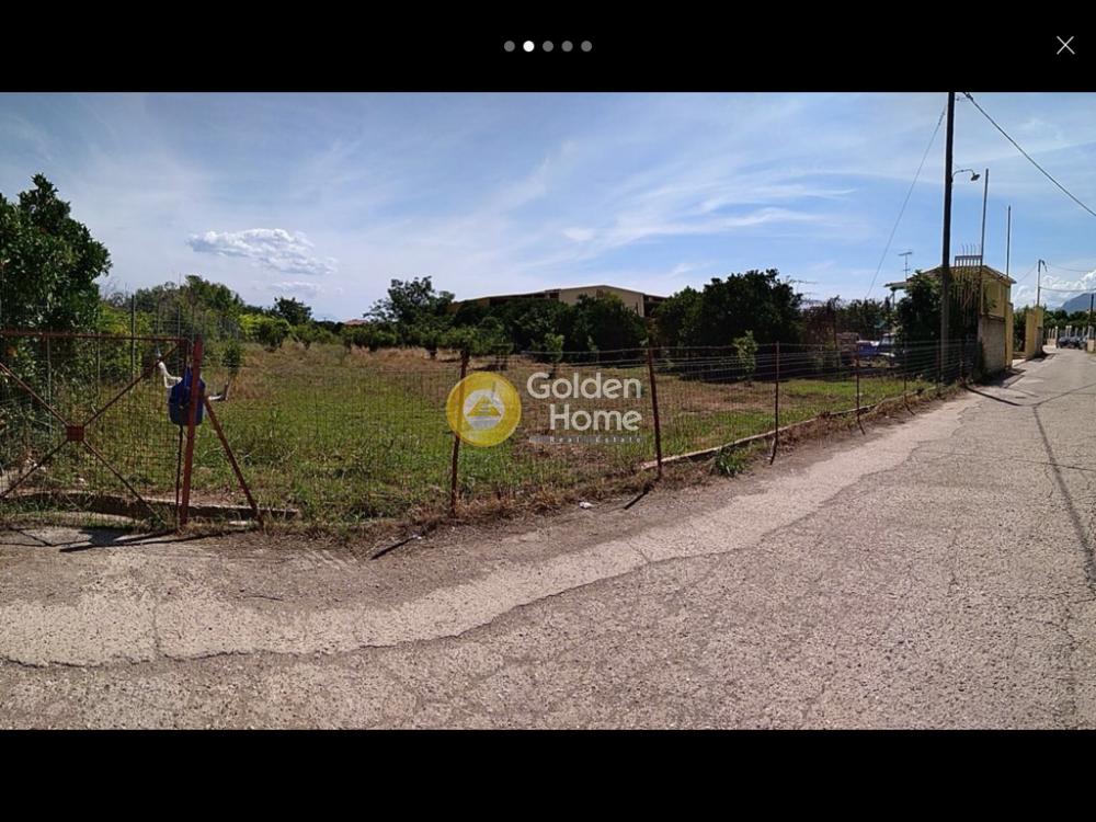 Golden Home Property Image