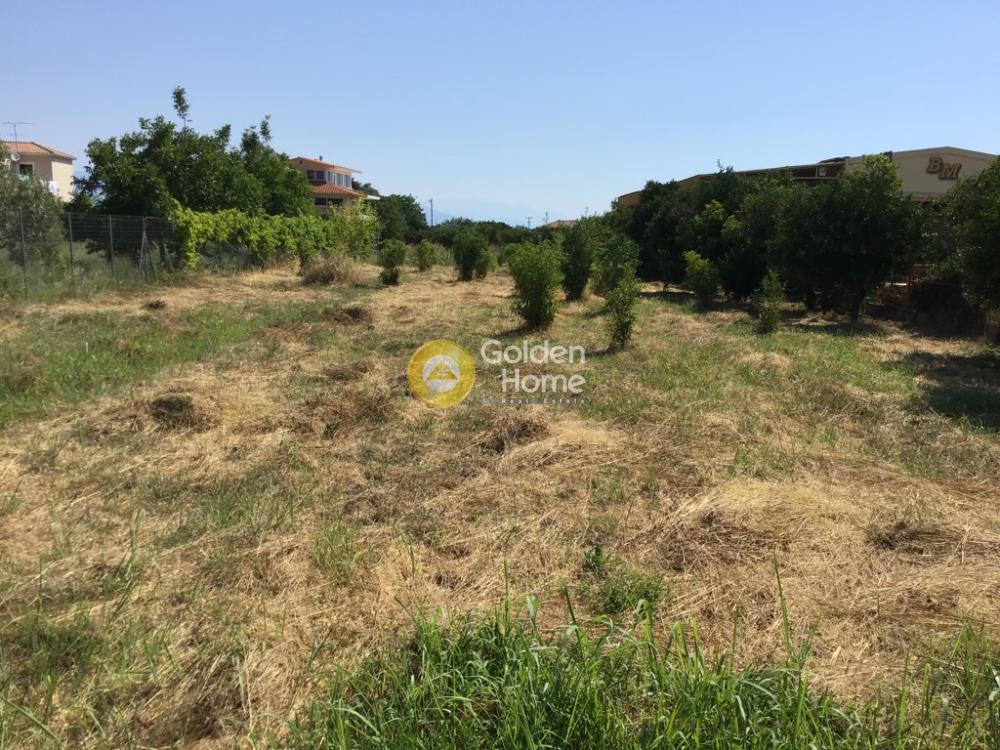 Golden Home Property Image