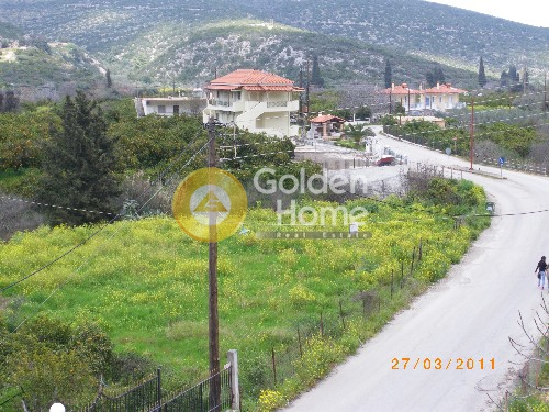 Golden Home Property Image
