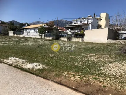 Οικιστικό 789τ.μ. προς πώληση φωτογραφία 5