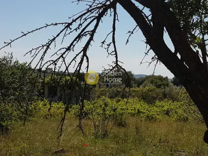 Επαγγελ. Οικόπεδο 7215τ.μ. προς πώληση φωτογραφία 1689931