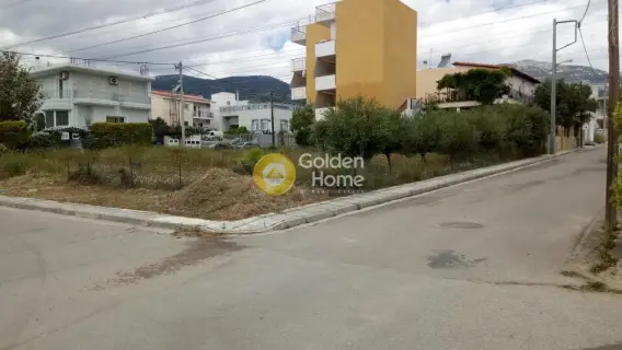 Golden Home Property Image