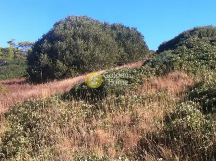 Αγροτεμάχιο 4300τ.μ. προς πώληση φωτογραφία 3