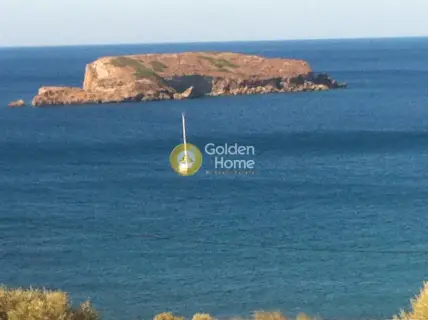 Αγροτεμάχιο 4300τ.μ. προς πώληση φωτογραφία 4