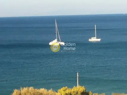 Αγροτεμάχιο 4300τ.μ. προς πώληση φωτογραφία 5