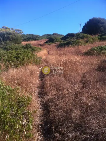 Αγροτεμάχιο 4300τ.μ. προς πώληση φωτογραφία 6