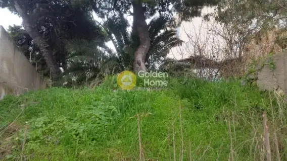 Οικιστικό 490τ.μ. προς πώληση φωτογραφία 11