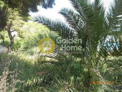 Οικιστικό 490τ.μ. προς πώληση φωτογραφία 9