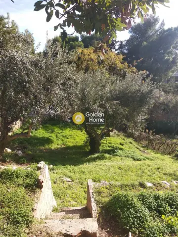 Οικιστικό 1000τ.μ. προς πώληση φωτογραφία 2