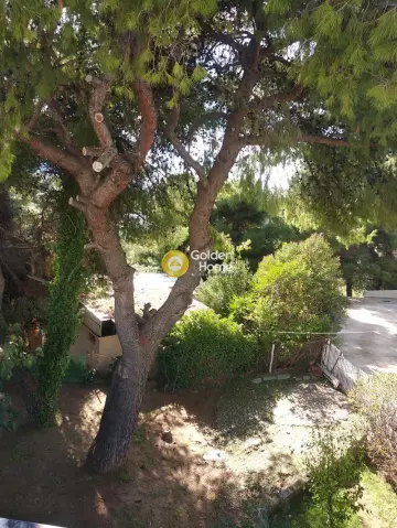 Οικιστικό 1000τ.μ. προς πώληση φωτογραφία 4
