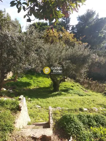 Οικιστικό 1000τ.μ. προς πώληση φωτογραφία 5