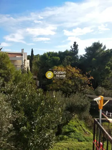 Οικιστικό 1000τ.μ. προς πώληση φωτογραφία 7