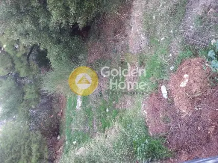 Οικιστικό 726τ.μ. προς πώληση φωτογραφία 3