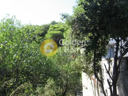 Οικιστικό 864τ.μ. προς πώληση φωτογραφία 1