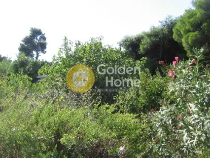 Οικιστικό 864τ.μ. προς πώληση φωτογραφία 3