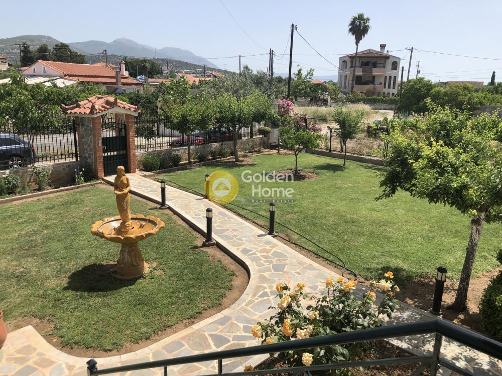 Golden Home Property Image