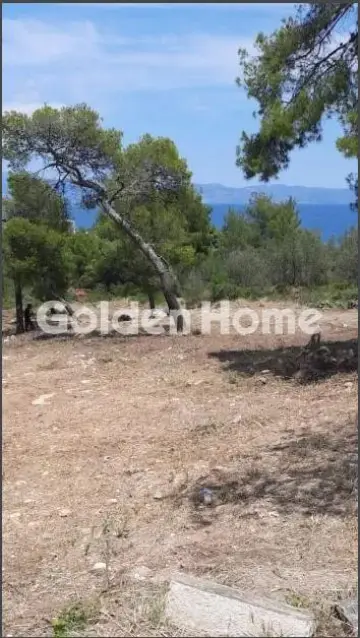 Residential 1060m<sup>2</sup> for sale photo 2
