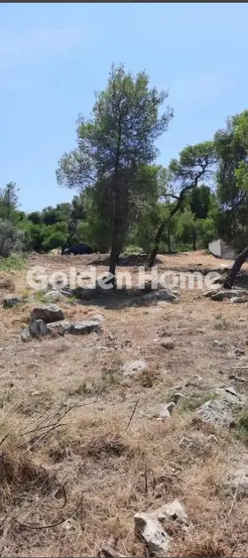 Residential 1060m<sup>2</sup> for sale photo 3